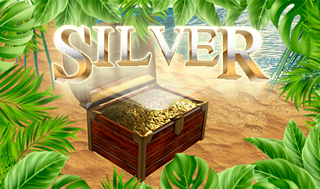 Silver | Gamelearn