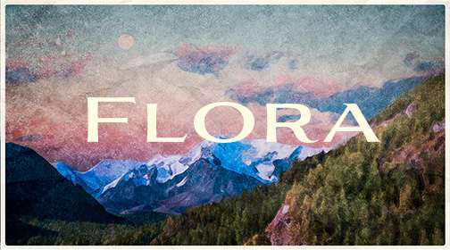 Flora